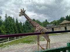 -贵州森林野生动物园