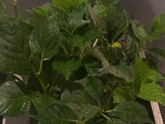 -阿伟海鲜楼·福建菜(涵江店)