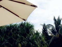 -三亚亚龙湾凯莱仙人掌度假酒店