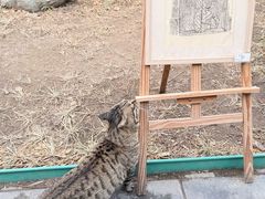 -正阳书局(西四南大街店)