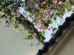 -深圳国际园林花卉博览园