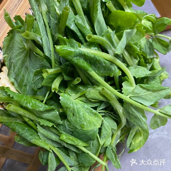 红太阳姐妹火锅城