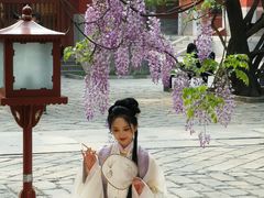 -北京国子监胡同