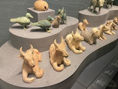 -广西壮族自治区博物馆