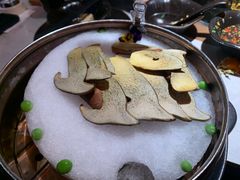 见手青-芸山季·云南山珍菌火锅(人民广场来福士店)