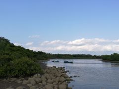 -东寨港红树林旅游区