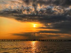 -宝安西湾红树林湿地公园