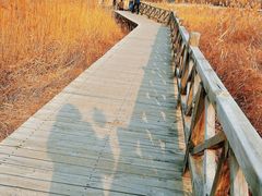 -野鸭湖国家湿地公园