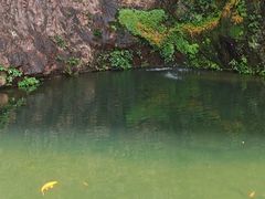 -雁荡山风景名胜区
