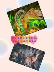 -恐龙探索乐园(磁器口店)