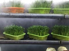 -华中科技大学东三学生食堂