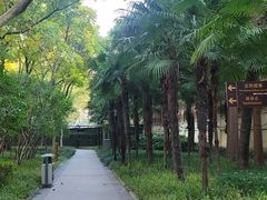 -徐家汇源景区-衡山公园