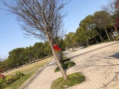 -新江湾城公园