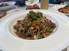-四季春