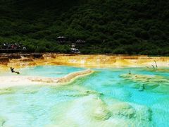 -黄龙山原始森林景区