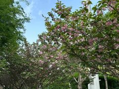 -郑州中国绿化博览园