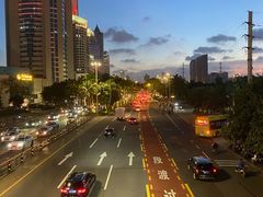 -万绿园