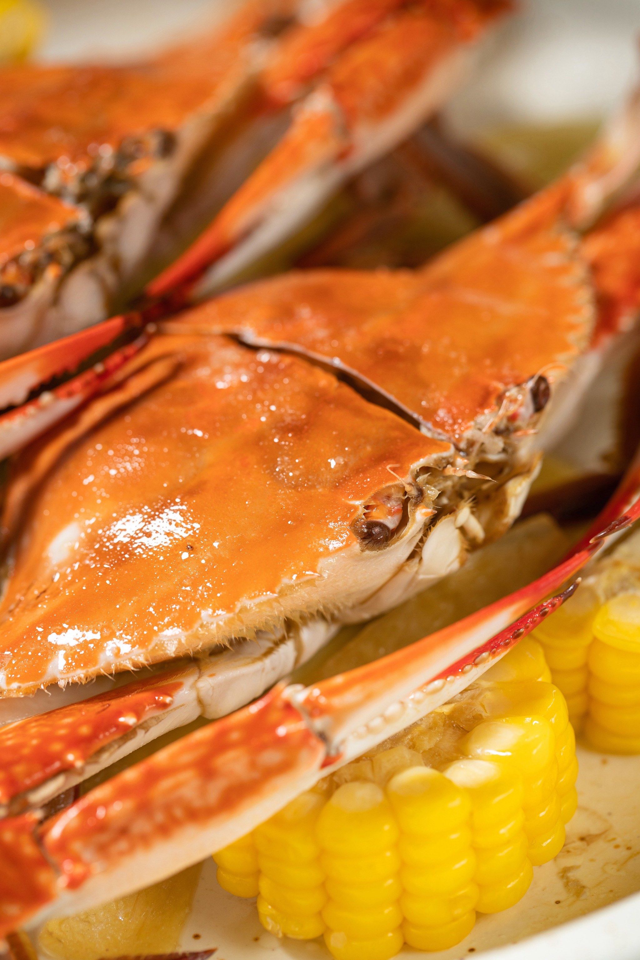 东海梭子蟹,18小时新鲜到店