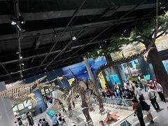 -国家自然博物馆