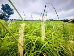 -汉长安城未央宫国家考古遗址公园