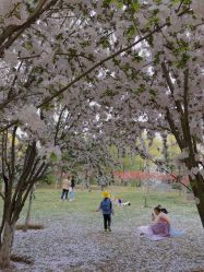 -大望京儿童游乐场