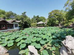 -无锡蠡湖国家湿地公园-蠡园