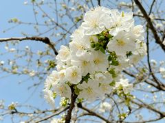 -大雁塔北广场音乐喷泉