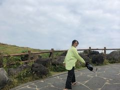 -涉地可支