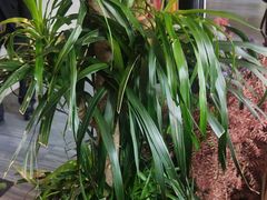 -观盐·盐帮菜(官园桥店)