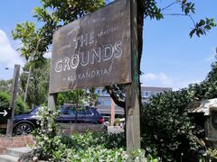 -The Grounds of Alexandria