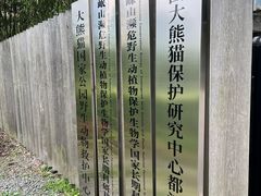 -都江堰中华大熊猫苑