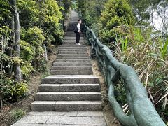 -梧桐山风景名胜区