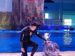 -华夏文旅海洋公园