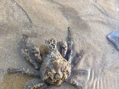 -青岛银沙滩