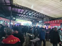 -鑫朱雀农贸批发市场