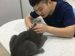 -佳雯宠物医院(金华南路分院)