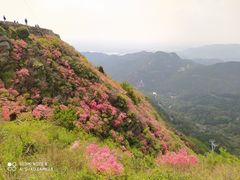 -木兰云雾山