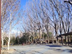 -回龙观体育文化公园