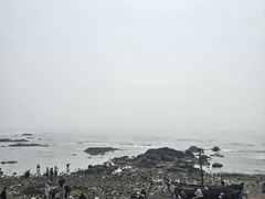 -开海·红岛海鲜虾水饺(石老人店)