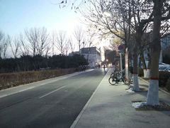 -东北大学(秦皇岛分校)