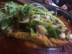 -金厨帽烤鱼(芦庄店)
