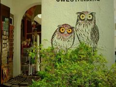 -槟城街头艺术街区