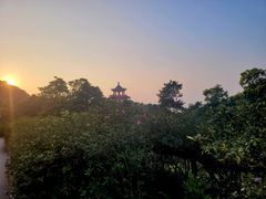 -梧桐山风景名胜区