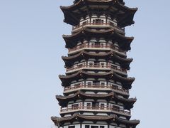 -洋湖国家湿地公园