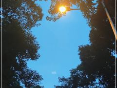 -火炉山森林公园