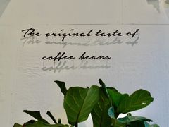 -red donkey coffee