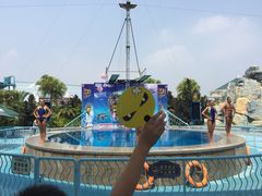 -厦门方特梦幻王国