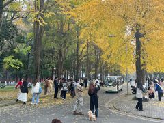 -四川大学(望江校区)