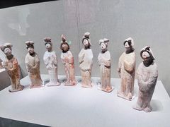 -河南自然博物馆