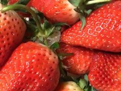 -青岛市本溪路农贸市场